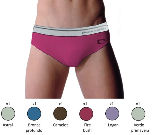 Calzoncillos slip de algodón Pierre Cardin 3869 surtido moda (pack de 6)